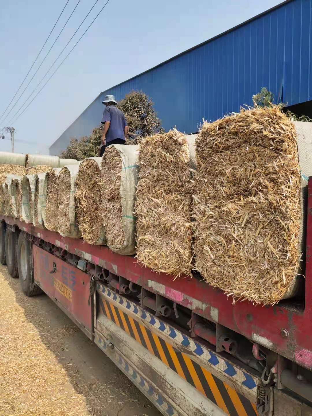 干草3-4cm规格的优质麦草,全国整车发货