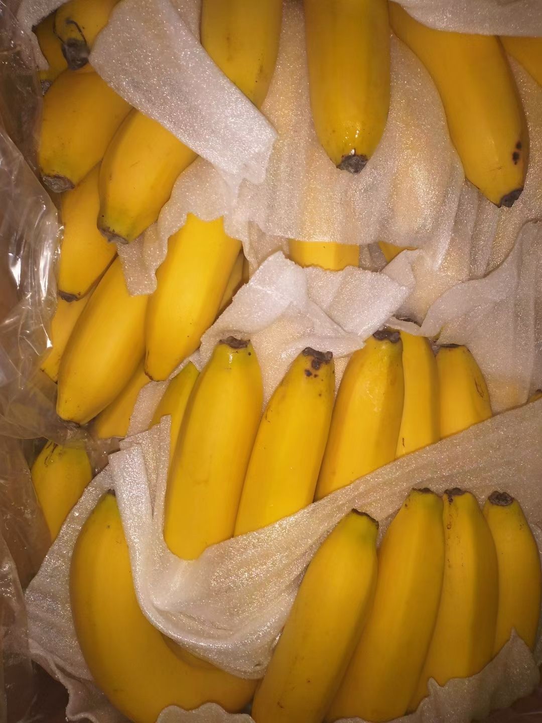 菲律宾大把黄香蕉
