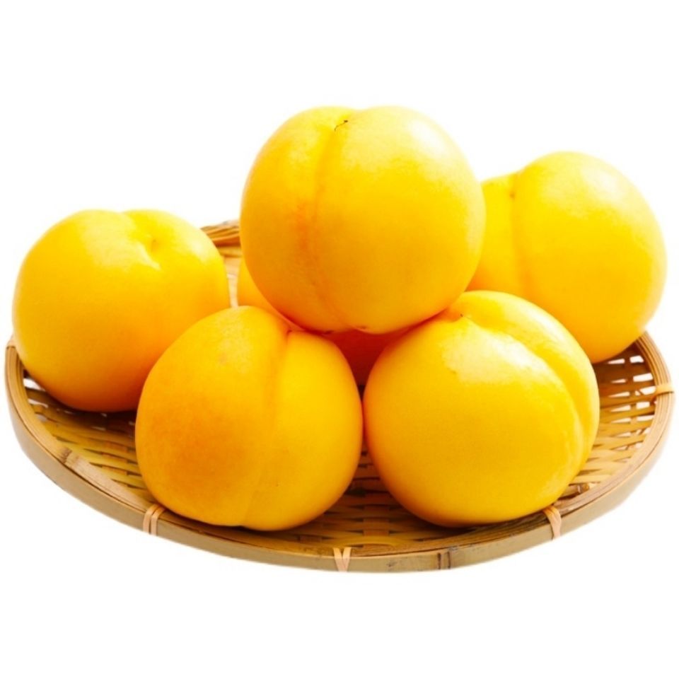 黄金黄桃  【限时特惠】正宗新鲜黄油桃黄金蜜桃露天水蜜桃黄金油桃
