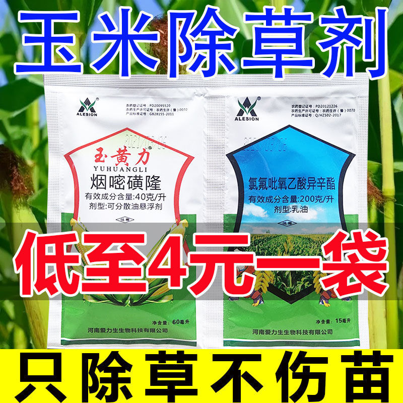 烟嘧磺隆 玉米苗后专用除草剂批发玉米地杂草烂根玉米田除草安全型不