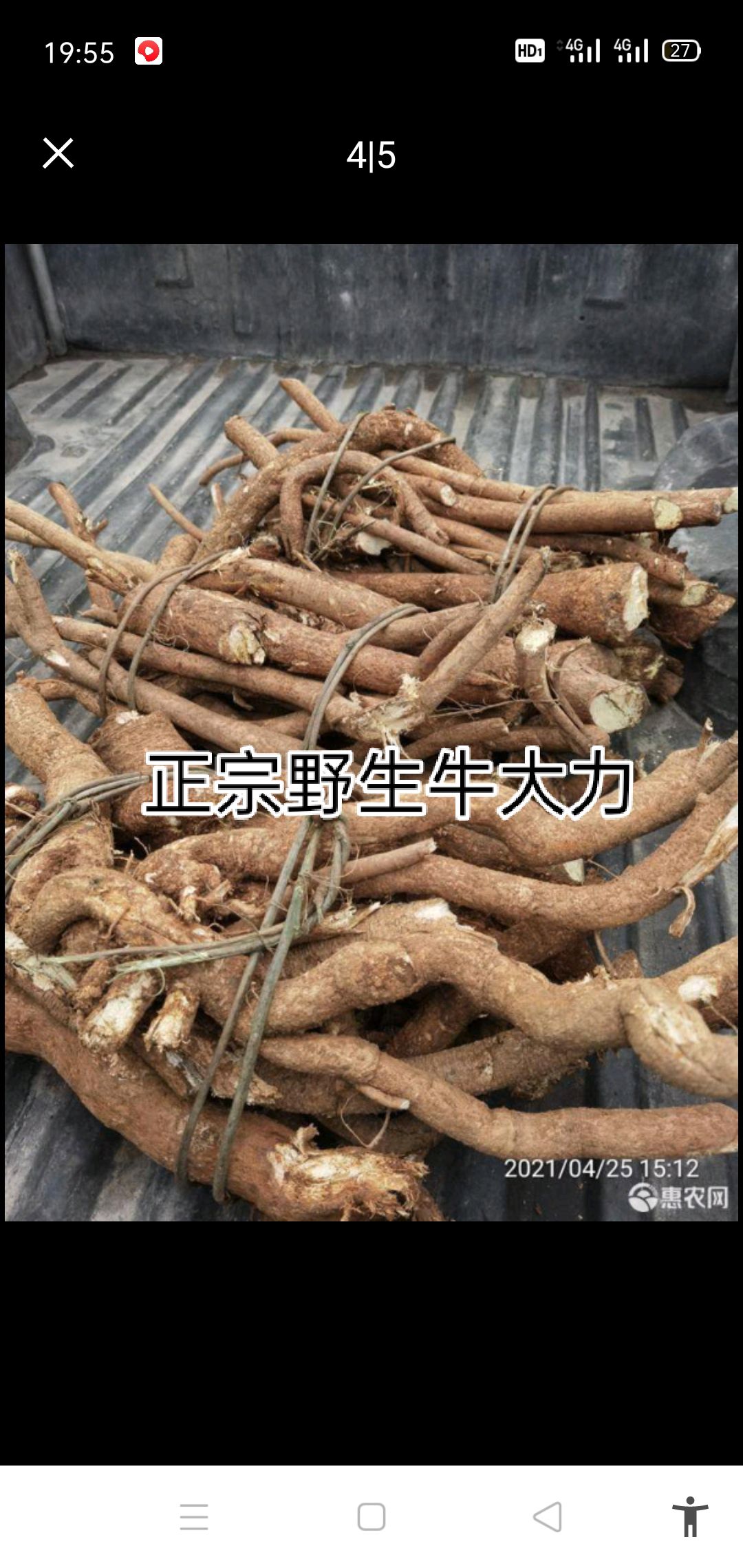 供应大厅  中药材  牛大力