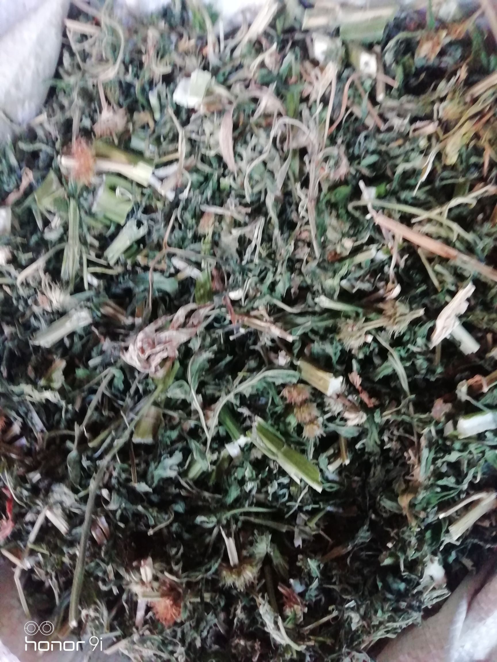 [益母草批发]益母草,切段干品价格面议元/斤 - 惠农网