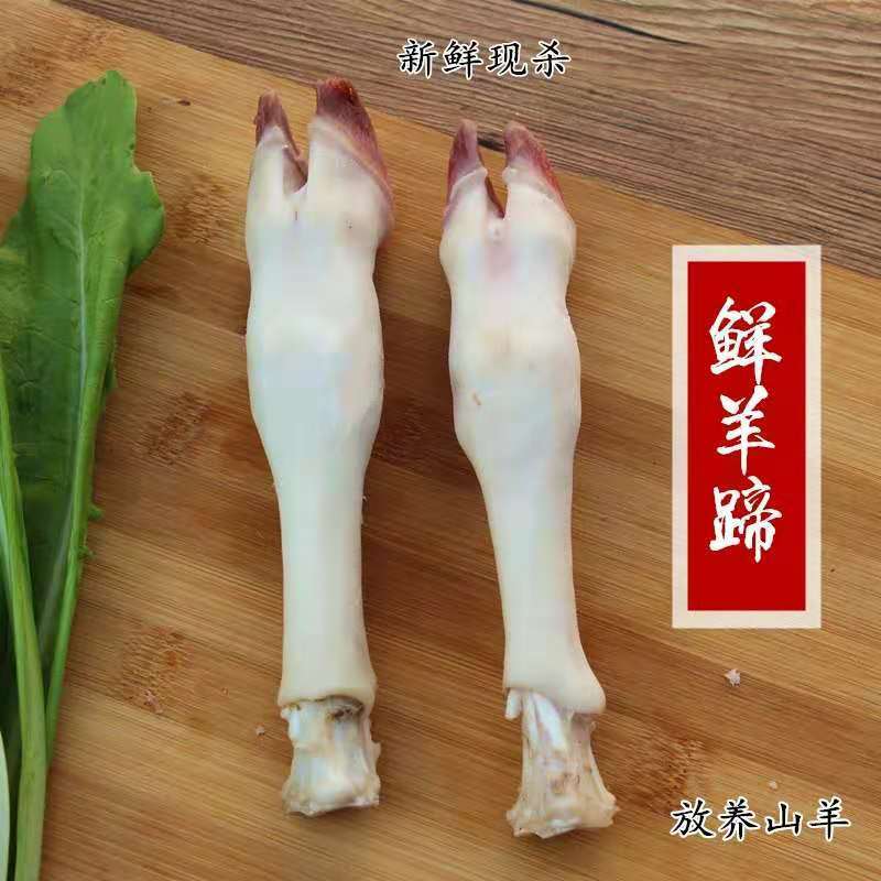 新鲜生羊蹄冷冻羊脚蹄小羊蹄带筋羊蹄筋山羊蹄子包邮