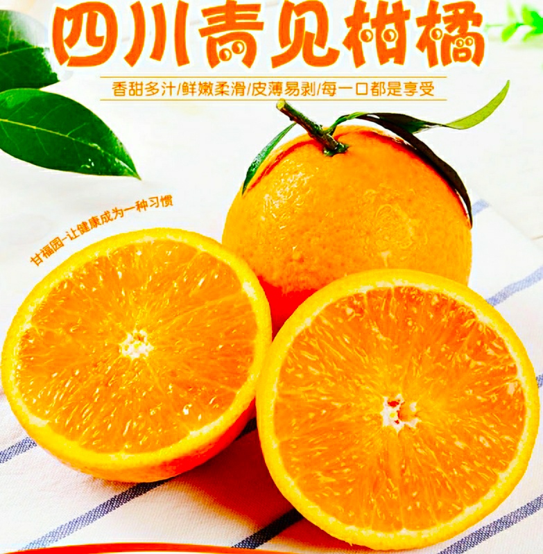 青见柑桔  四川青见果冻柑橘 果冻橙 当季节新鲜水果 香甜多汁爽口