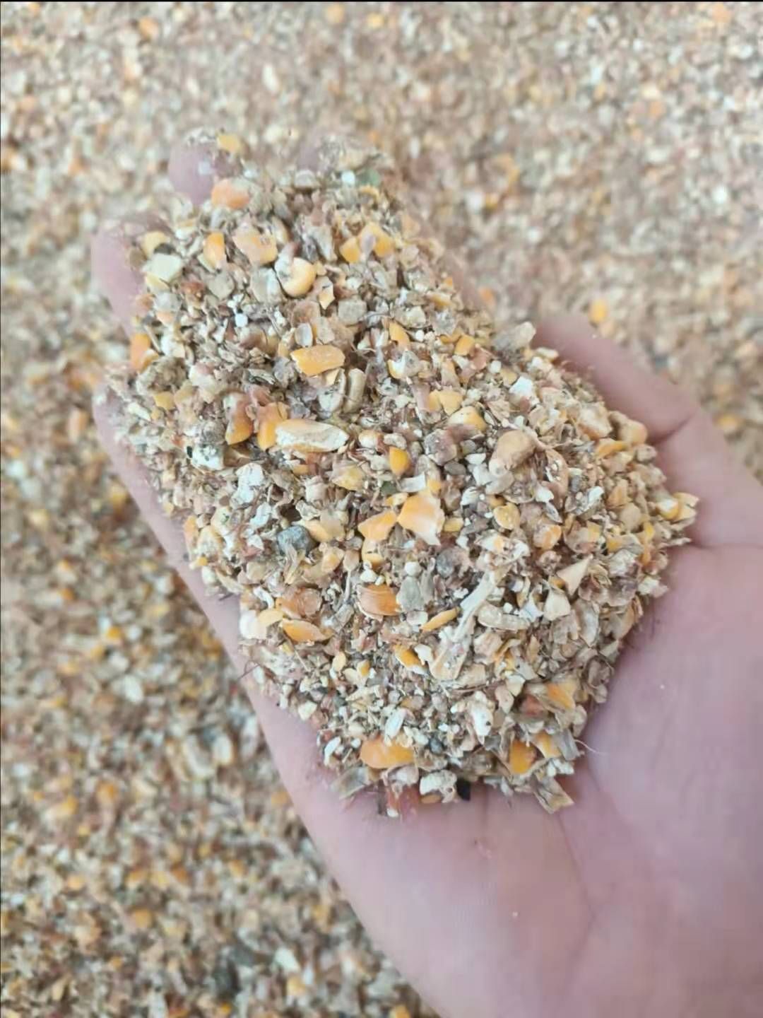 碎玉米,次玉米,玉米下脚料,常年供应