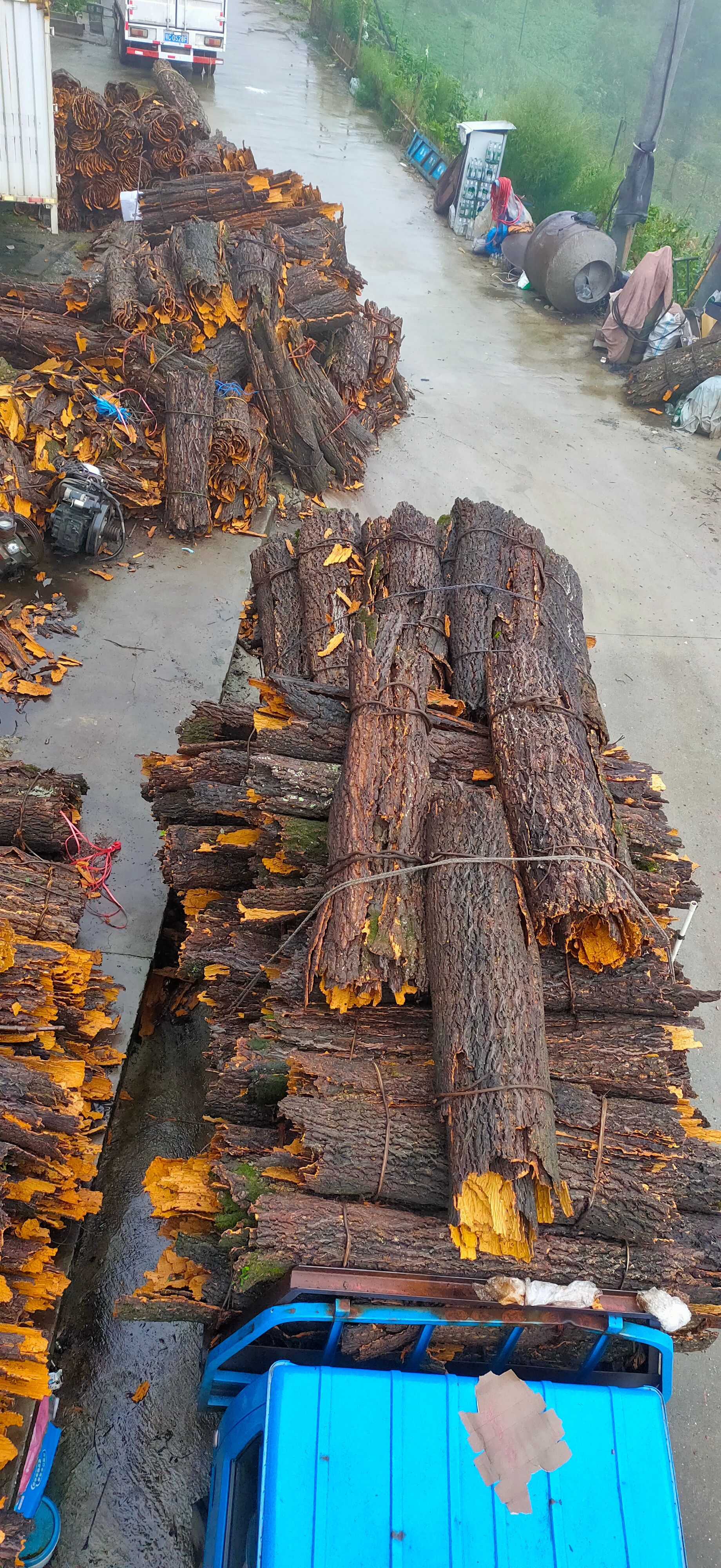 安哥拉树皮 大量花栗树皮出售