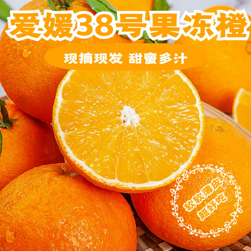 爱媛橙