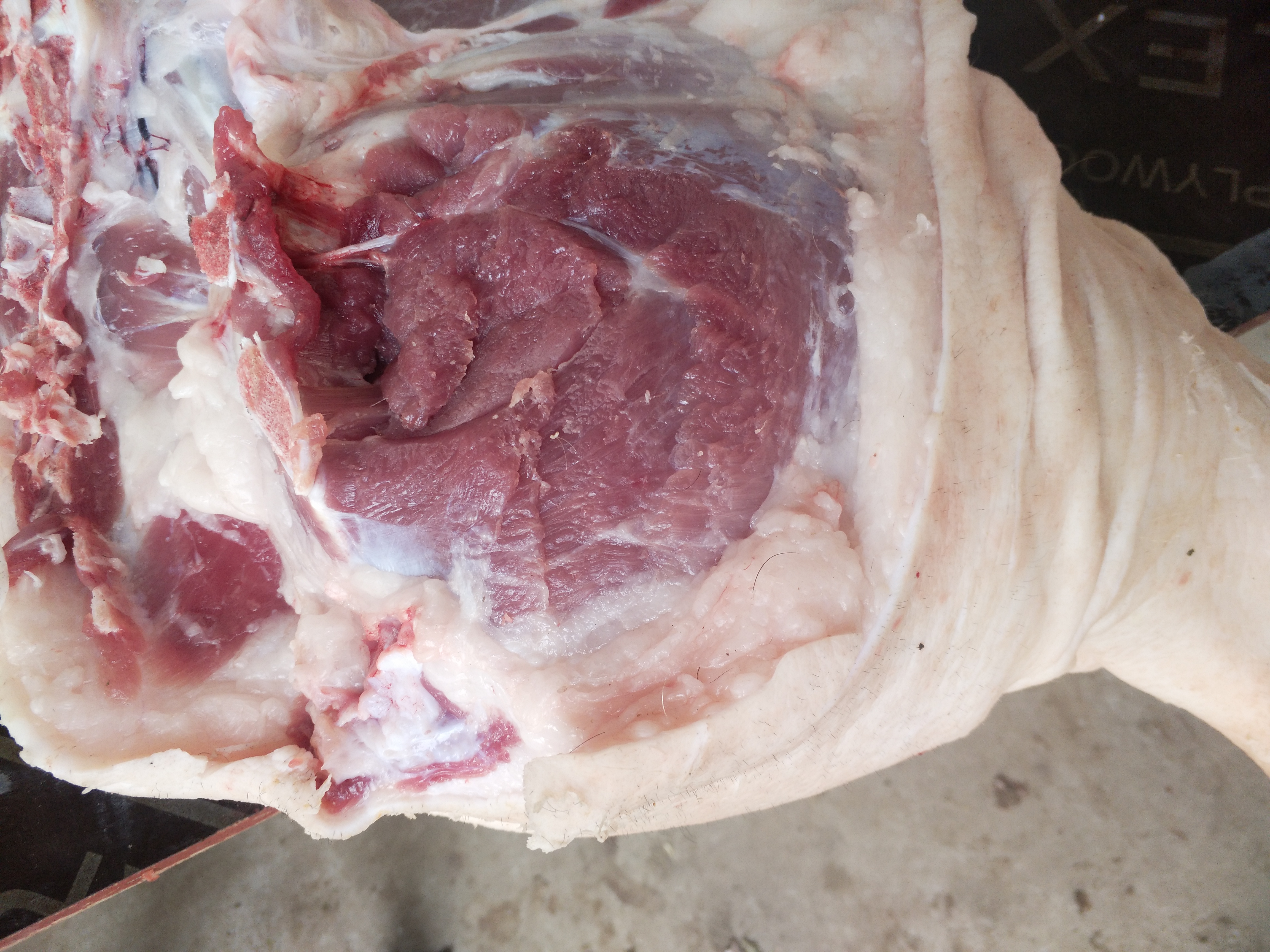 供应大厅  禽畜肉蛋  香猪