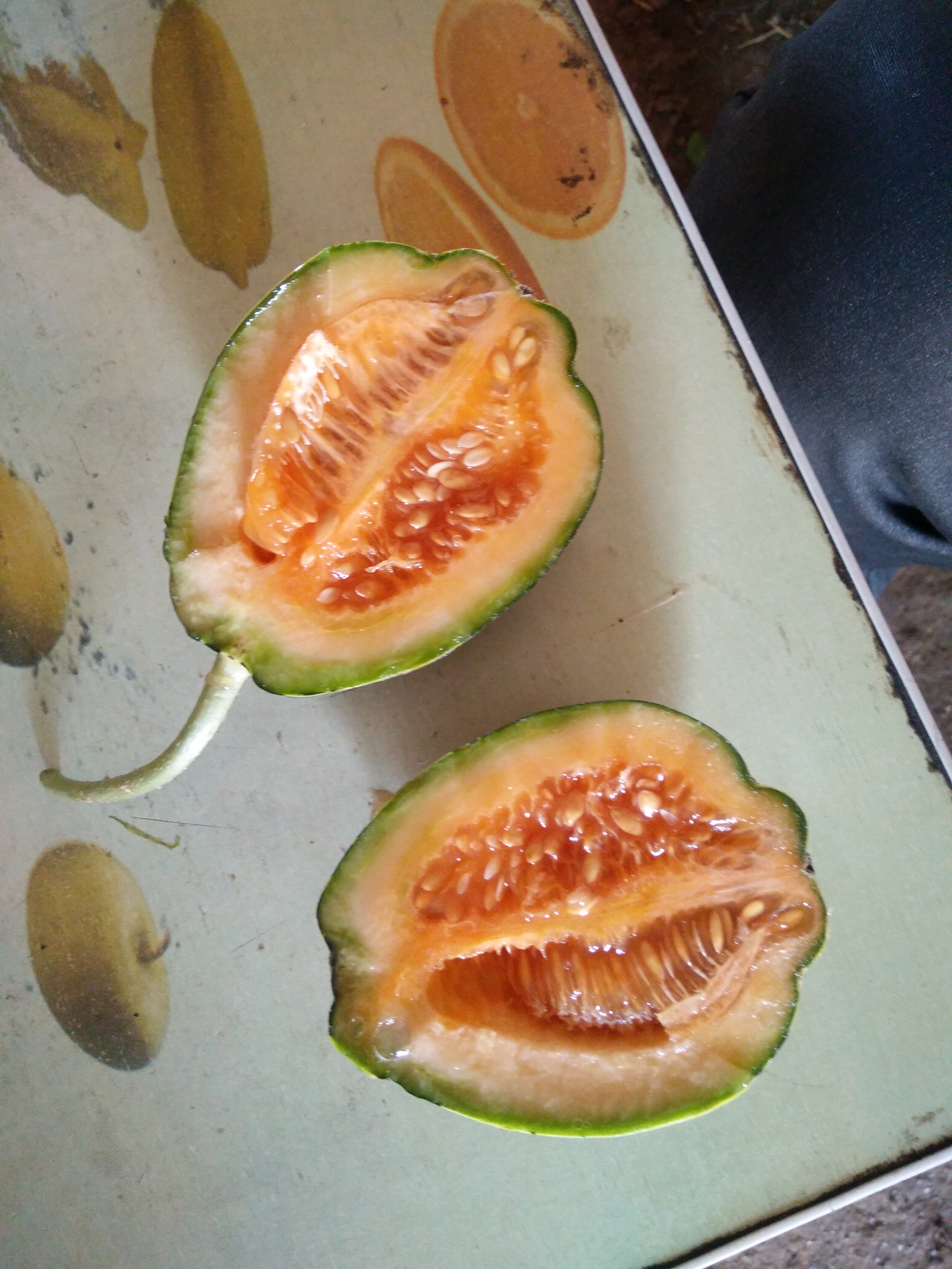冰糖子甜瓜大量供应