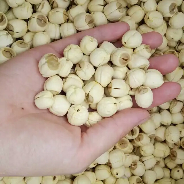 广昌手工白莲子红花莲蓬子柴火烘干大颗粒天然干莲子