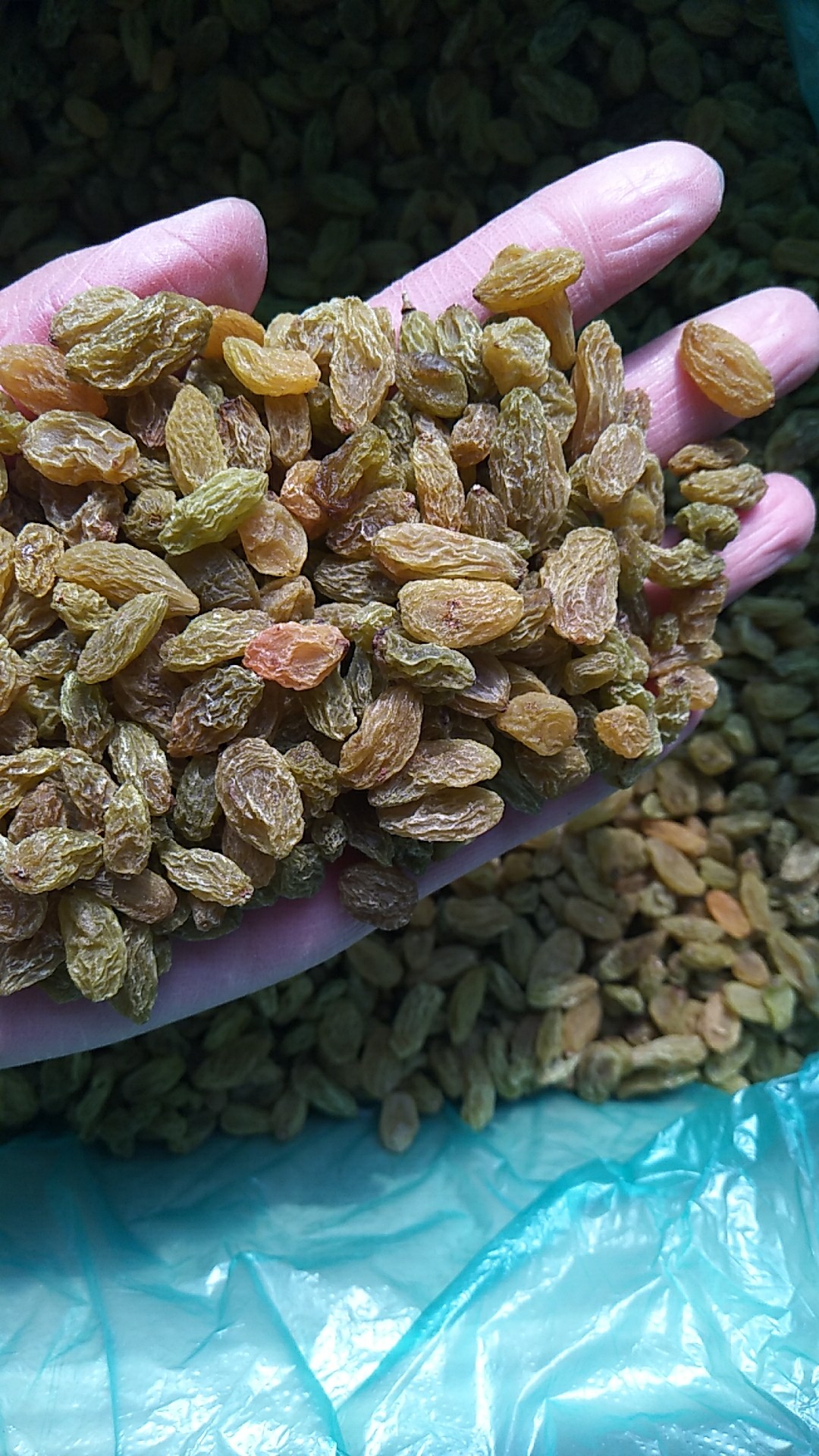 绿香妃葡萄干 统货