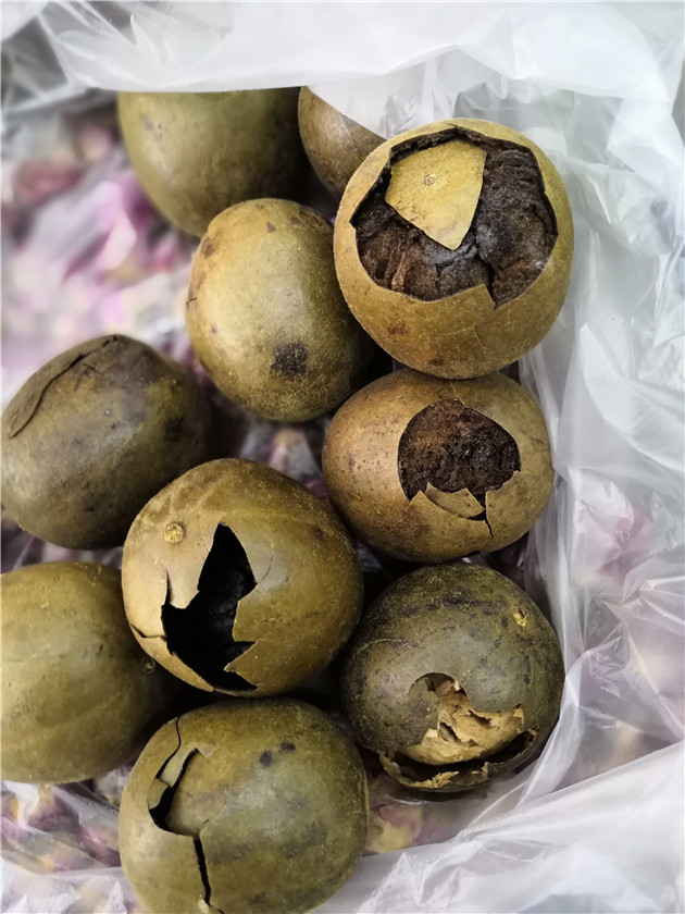 药用罗汉果