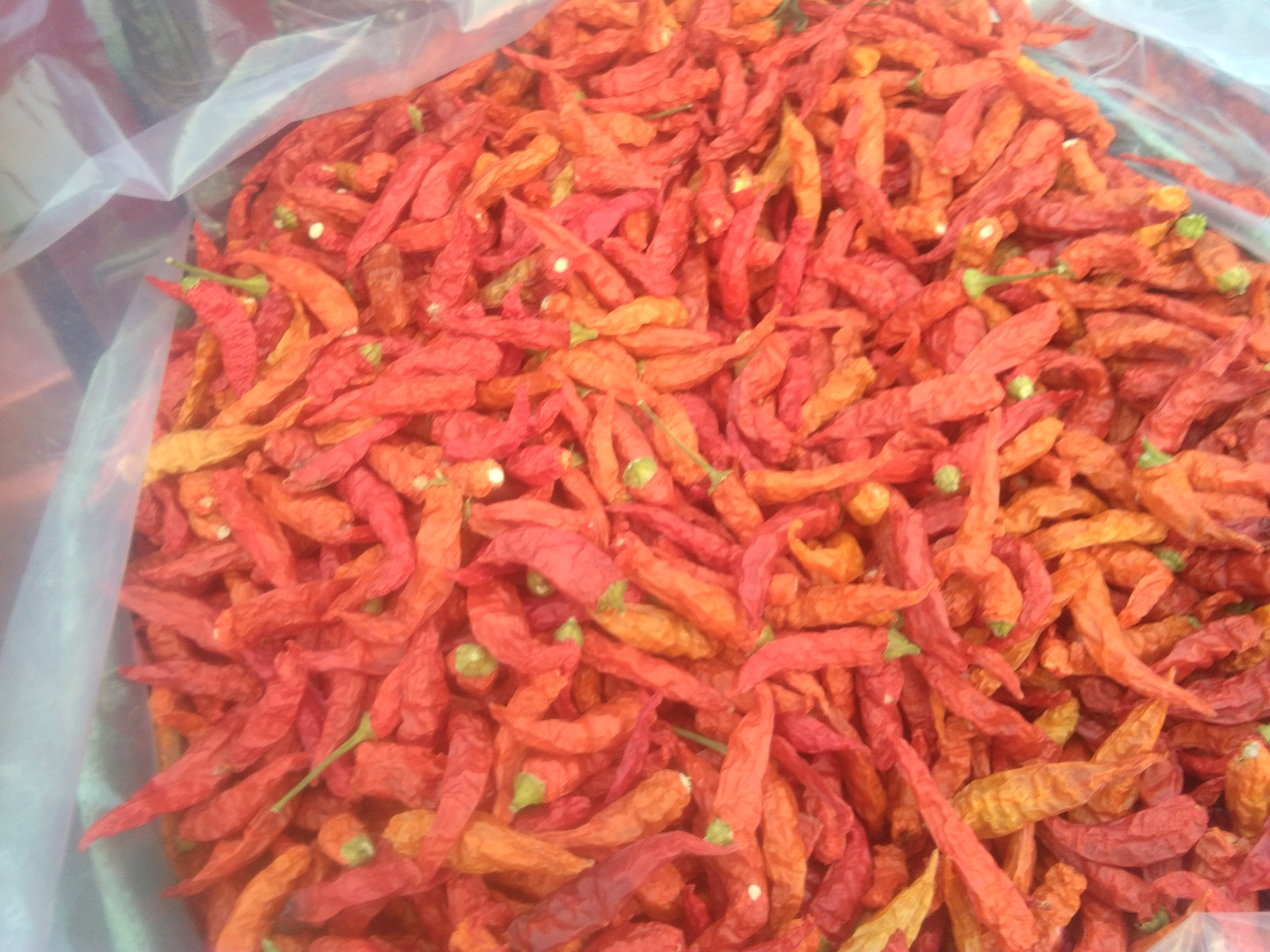 灯笼椒干辣椒 小米椒2019新货