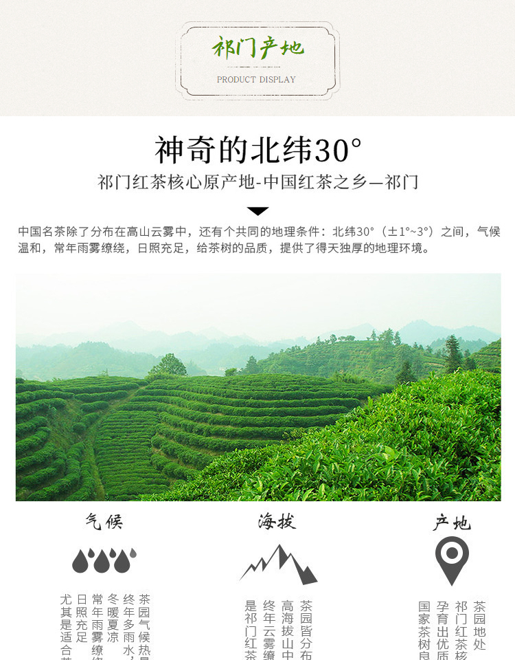 祁门红茶特级浓香型正宗原产地红香螺散装500g