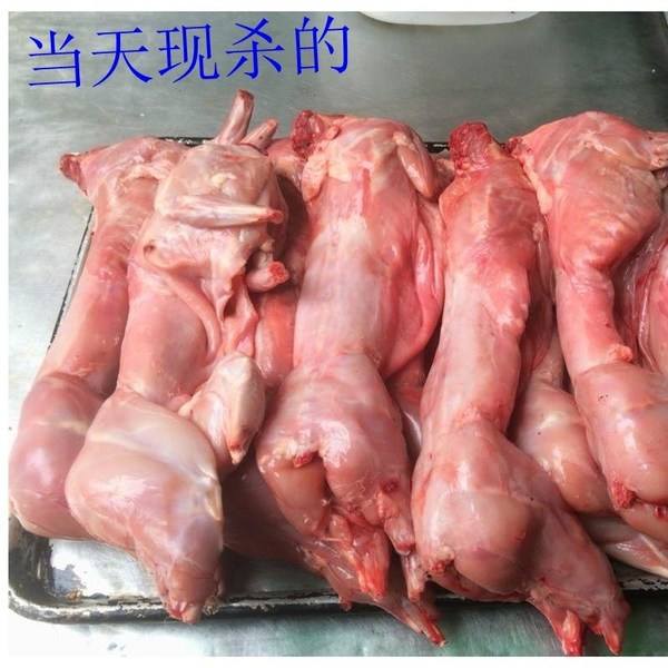 新鲜兔肉批发,冷冻兔 现杀兔肉 兔腿 兔头全国批发