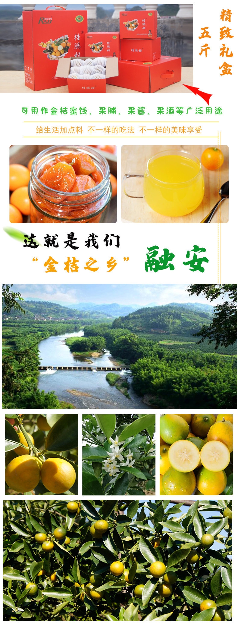 融安金桔新鲜脆皮糖心香妃柚金桔净重三斤整盒广西特产新鲜小金桔