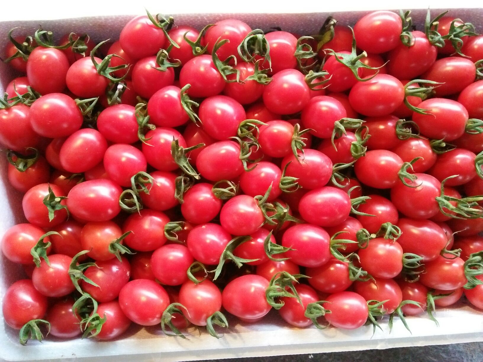 圣女果新鲜水果包邮 海南千禧圣女果5斤超甜樱桃小番茄