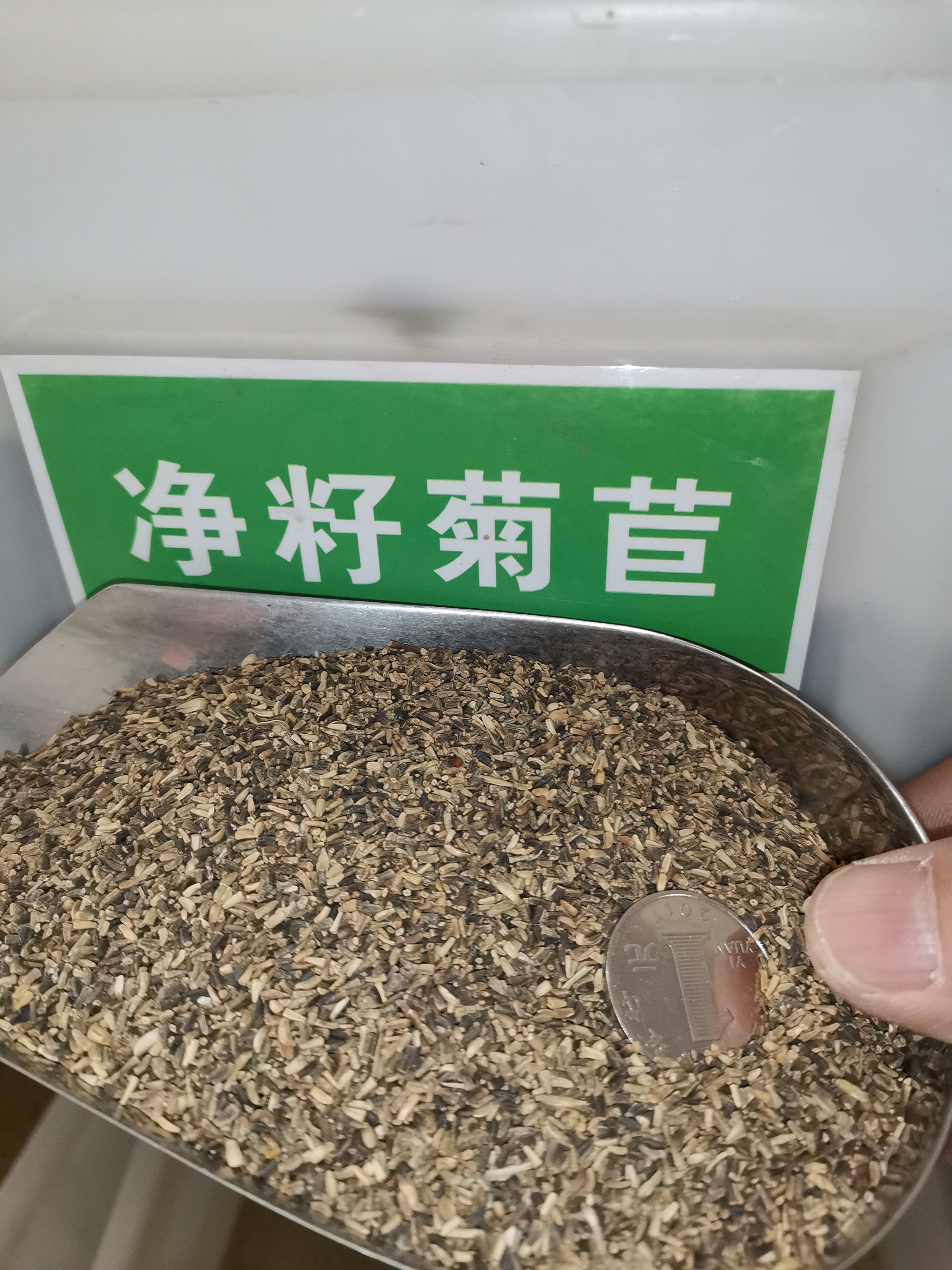 紫花苜蓿种子 优质苜蓿种子各种牧草种子大量现货供应