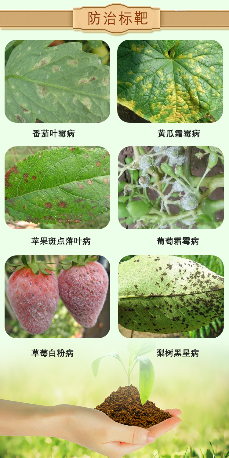 龙生多抗霉素10%番茄黄瓜叶霉病炭疽病灰霉病斑点落叶病杀菌剂