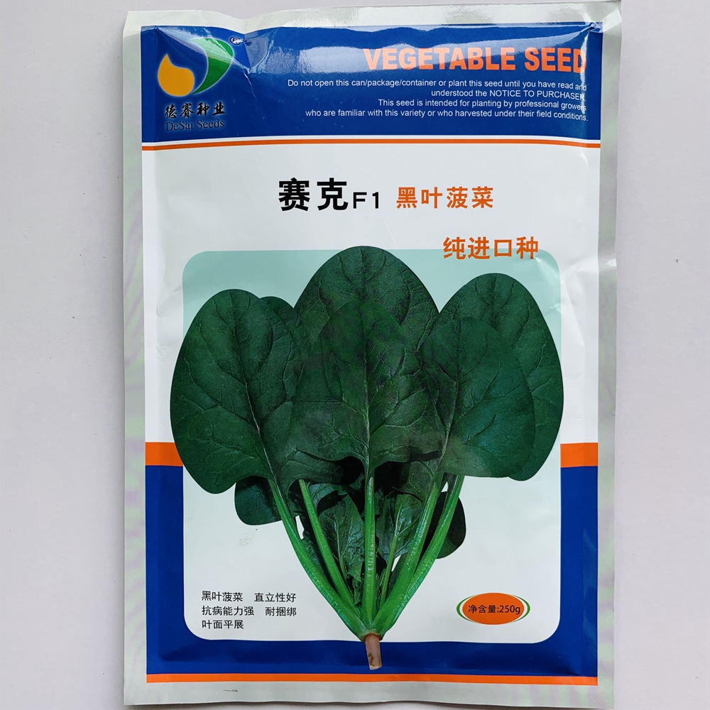 郑州 圆叶黑叶菠菜种子大叶菠菜种籽耐寒耐热圆叶秋冬四季盆栽青菜