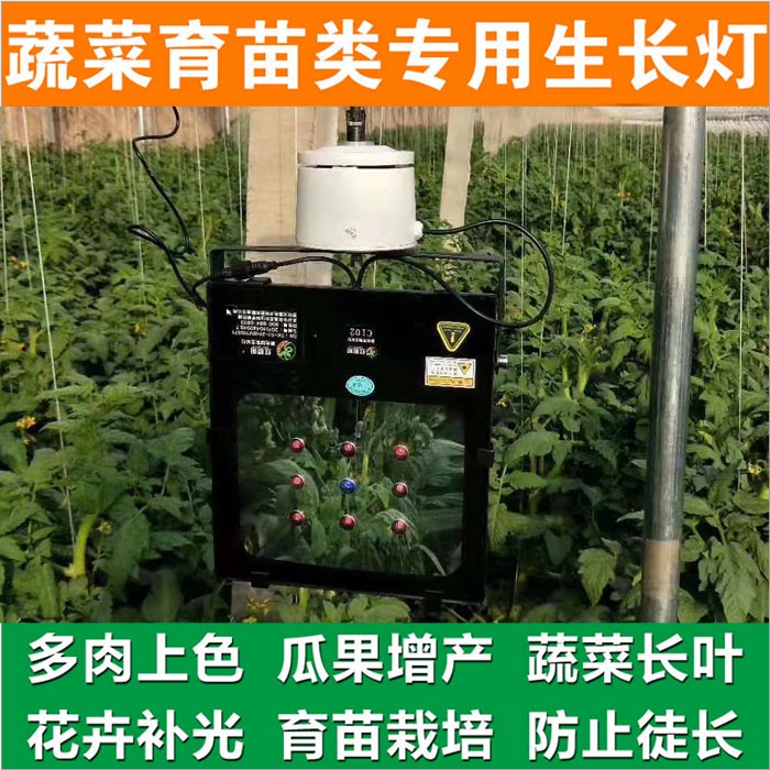 大棚育苗补光灯大棚育苗补光灯红皎阳激光植物补光灯