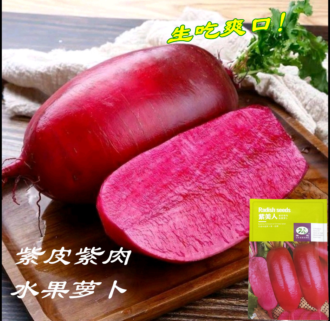 红皮萝卜