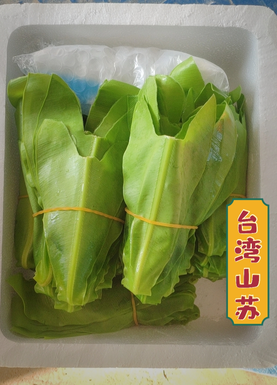 [蕨菜批发]台湾蕨菜 巢蕨 又叫台湾山苏 10斤顺丰