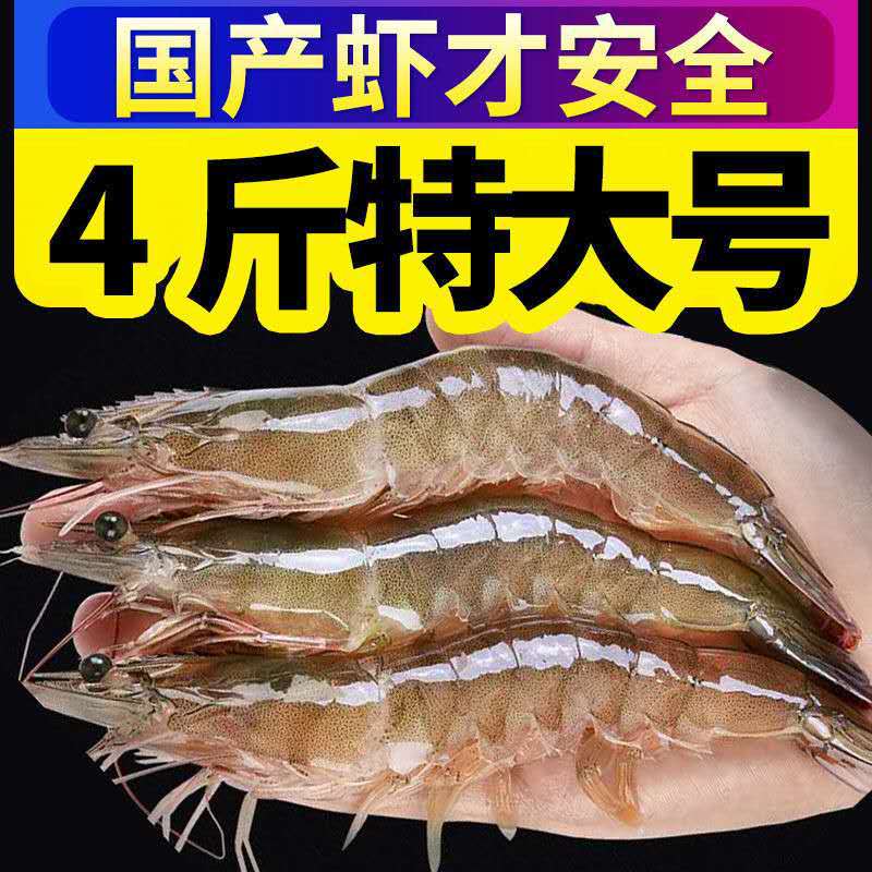 盐大虾超大海虾鲜活白虾对虾基围虾大虾新鲜海捕大虾海鲜