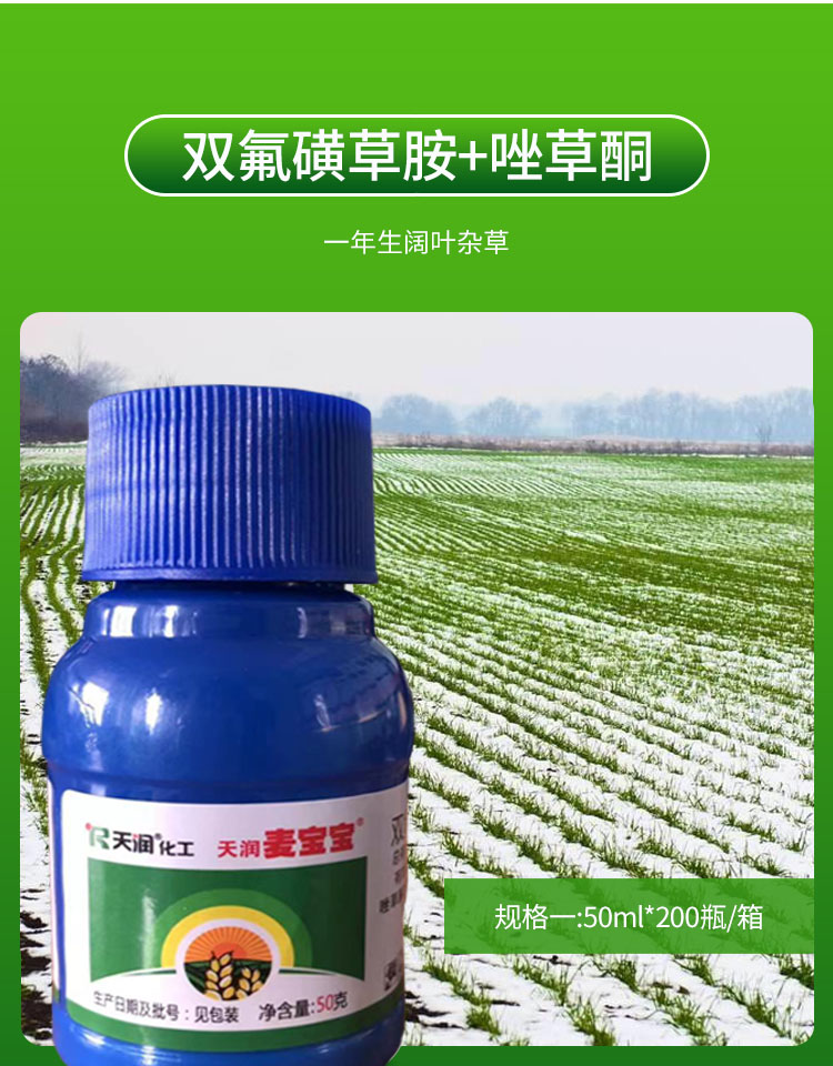 天润 麦宝宝 3%双氟·唑草酮 一年生阔叶杂草小麦农药除草剂
