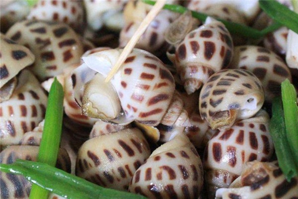 东风螺俗称花螺,海猪螺等,其肉质鲜美,酥脆爽口,是国内外市场十分