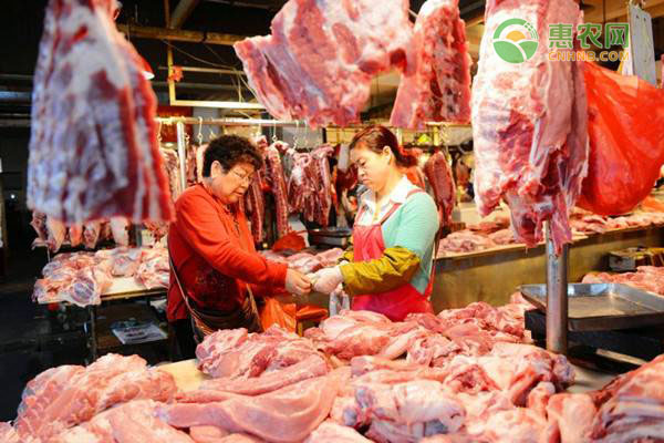 今日北京猪肉价格多少钱一斤？