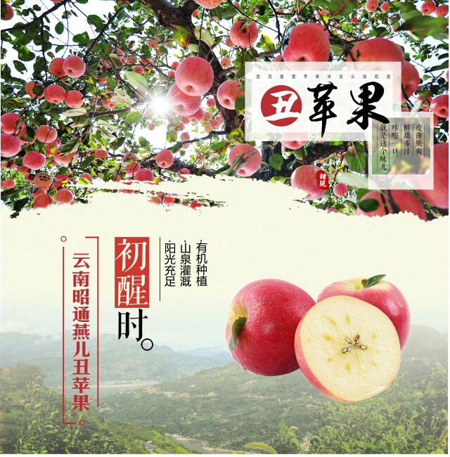 昭通苹果 光果 全红 70mm以上
