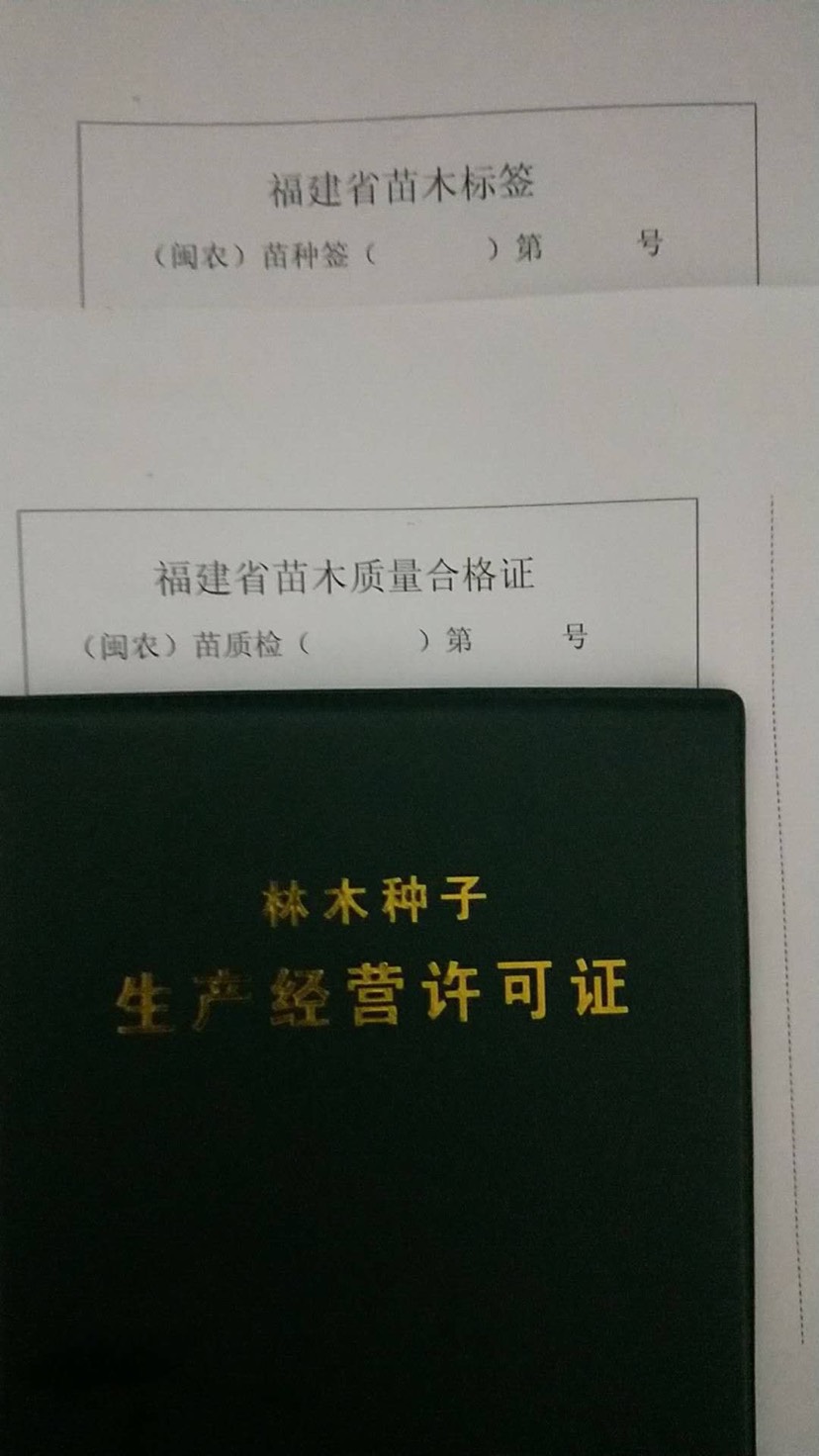 柚树苗 商品详情 保证正宗平和柚子苗,可签合约,可提供三证两签,敢