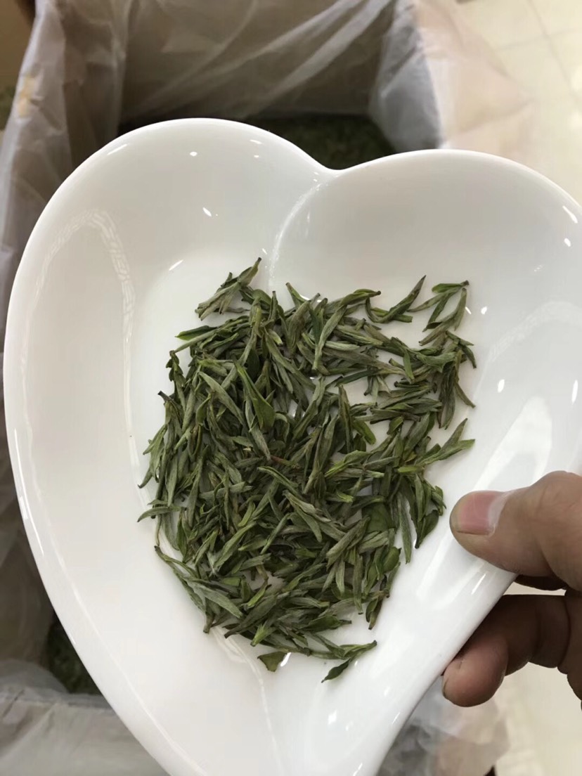 合肥蜀山区霍山黄芽 2019年新茶