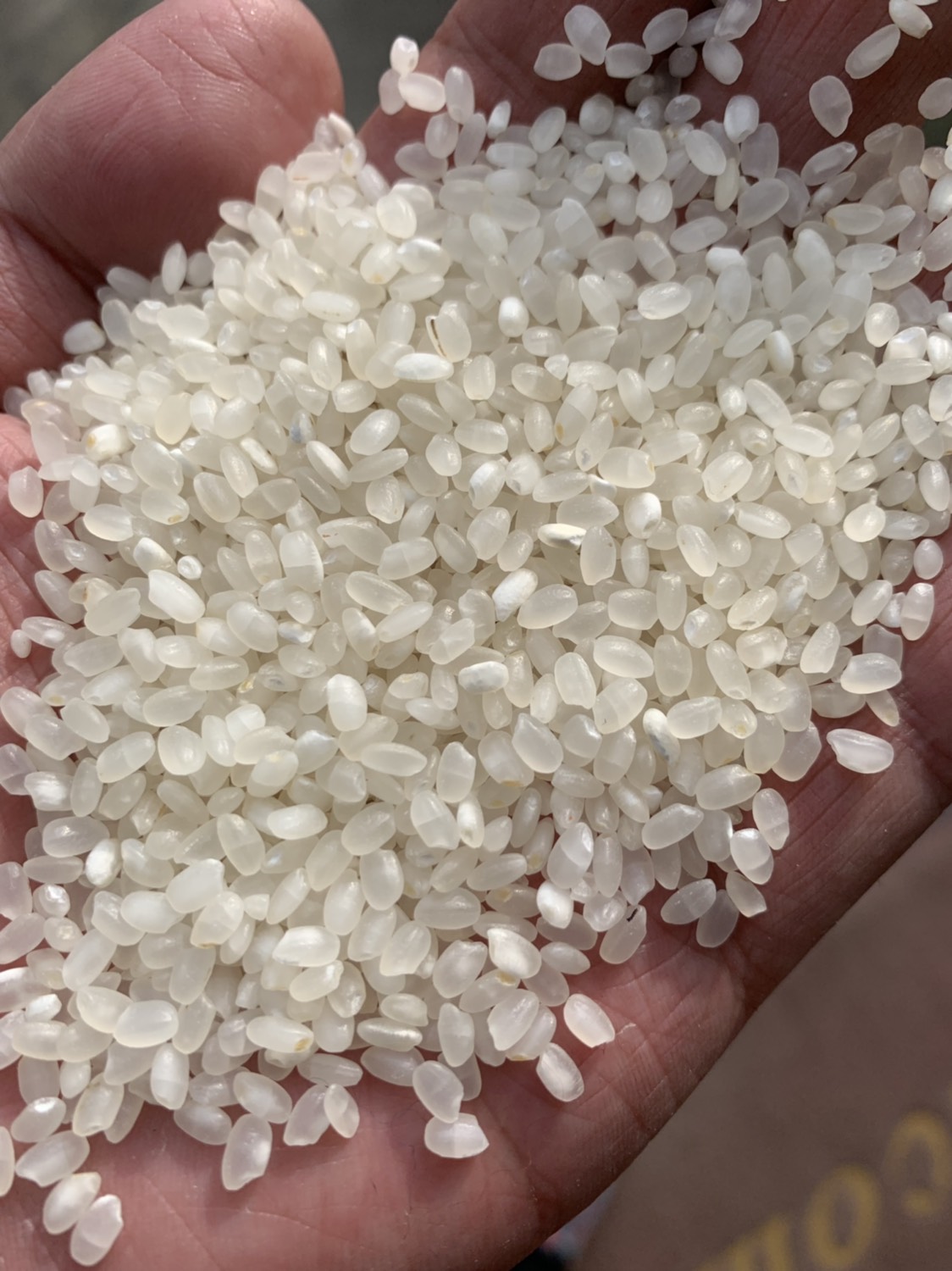 南粳9108大米 一等品 晚稻 粳米