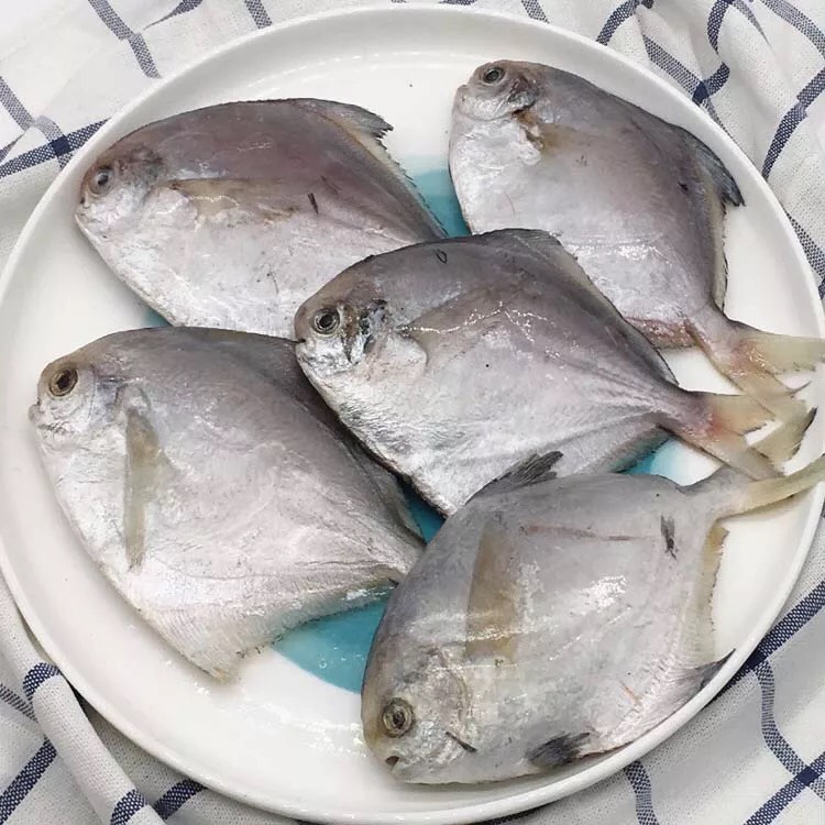 鱼小鲳鱼新鲜东海白鲳有冰衣50斤起发
