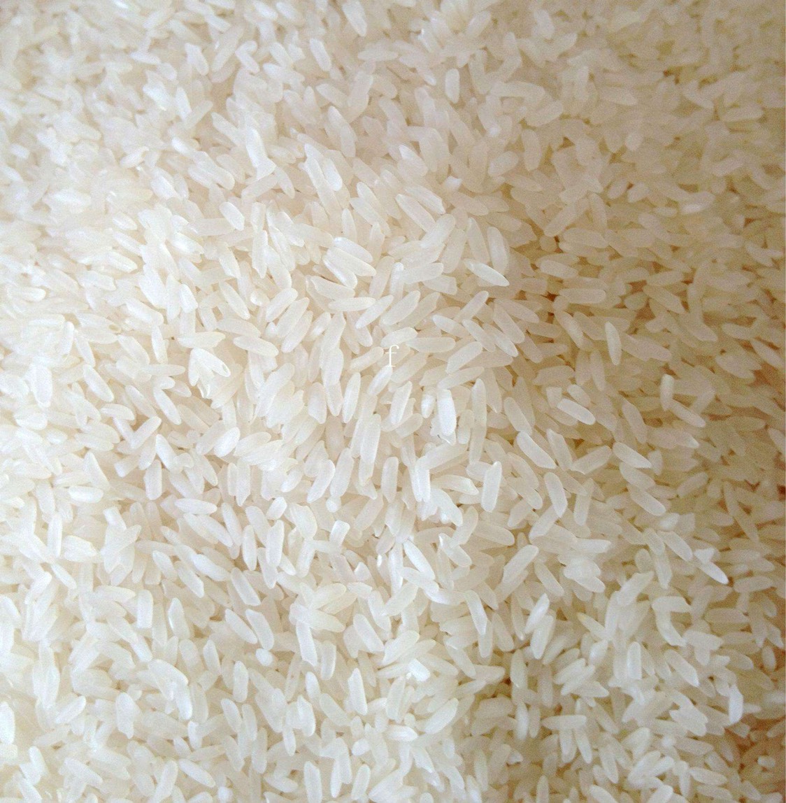 长粒香大米 一等品 晚稻 粳米