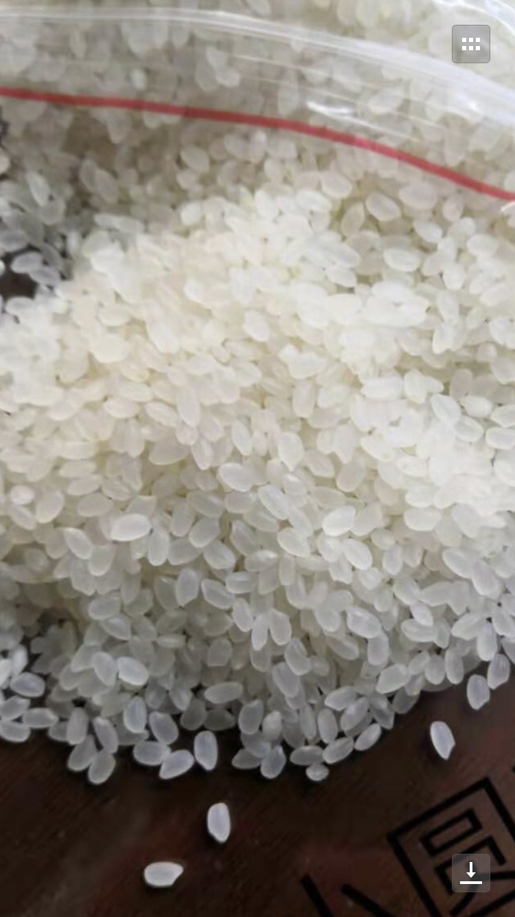 圆粒大米 一等品 一季稻 粳米