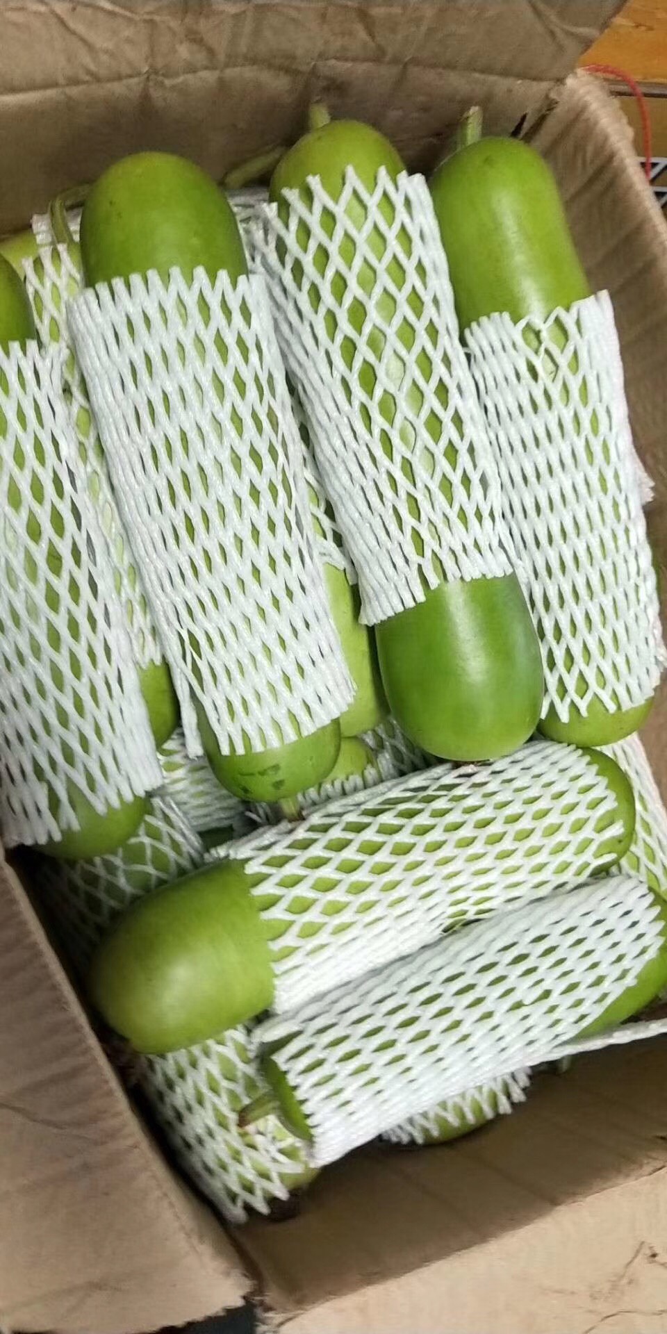 瓠瓜