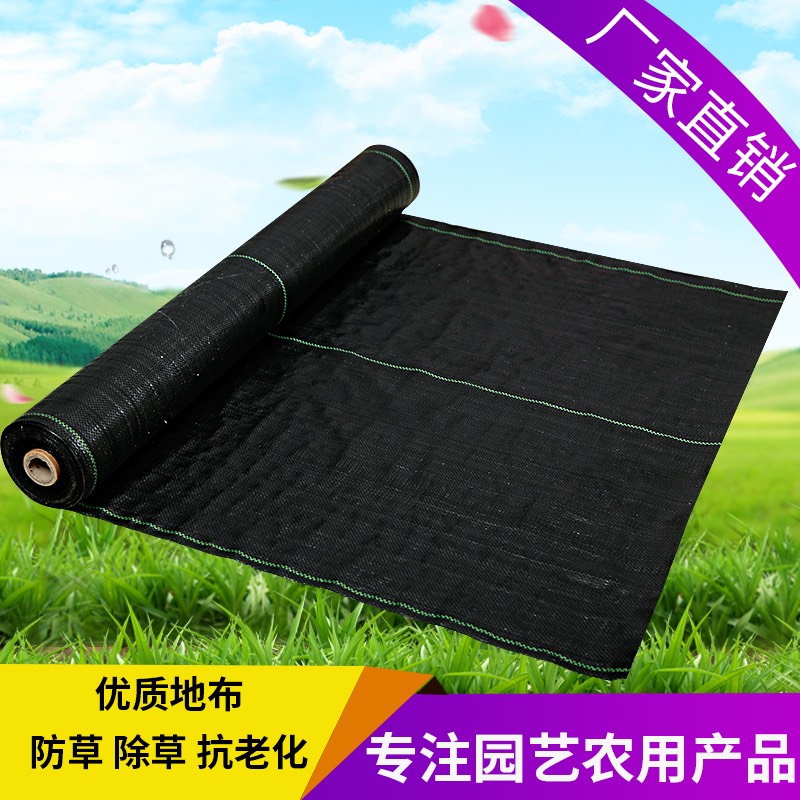 防草布 除草布抗老化园艺地布抑草布果园黑色除草垫大棚除草