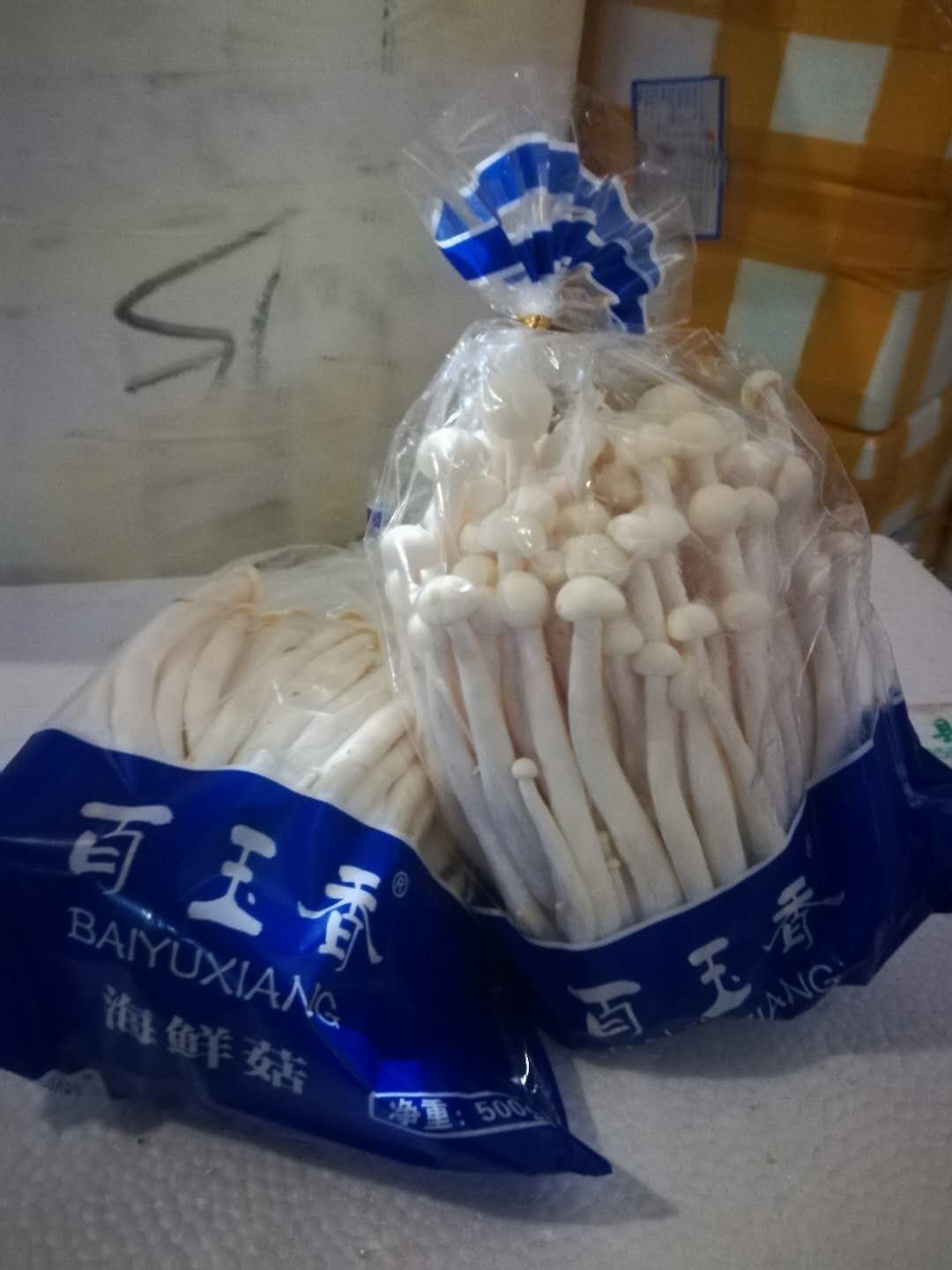 白玉菇 美味海鲜菇,一件包邮