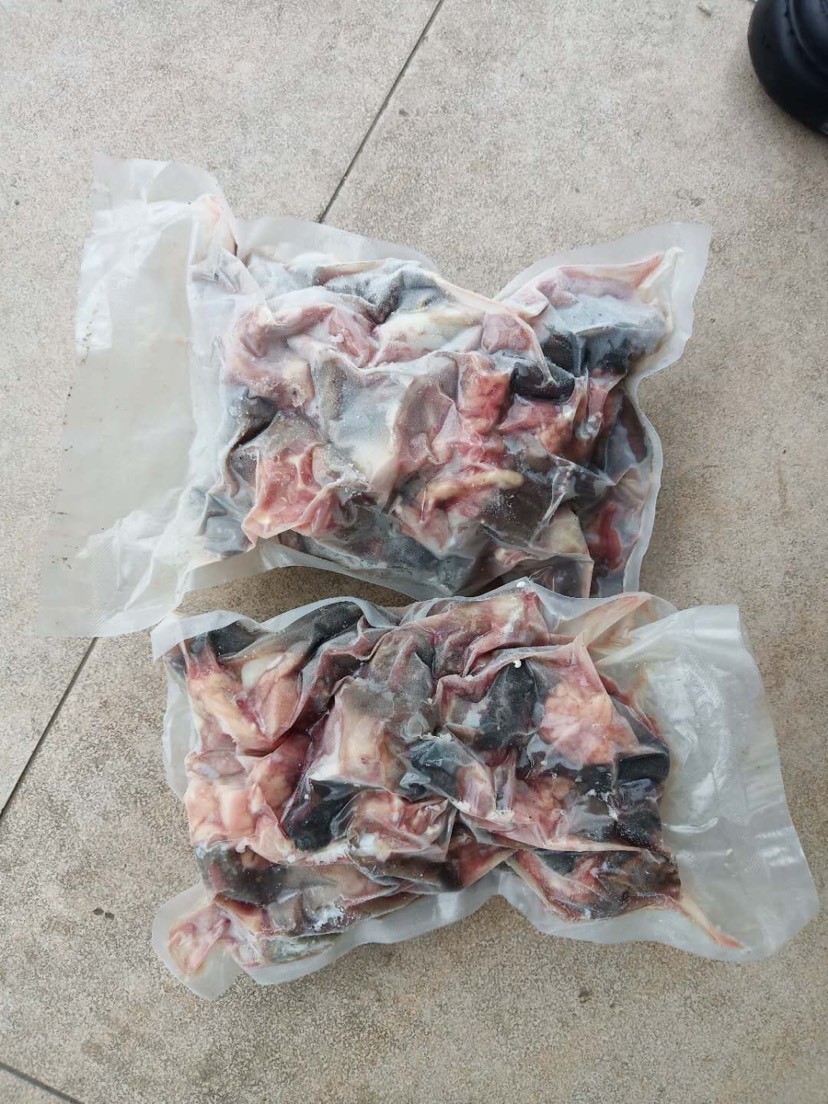 中华草龟 肉