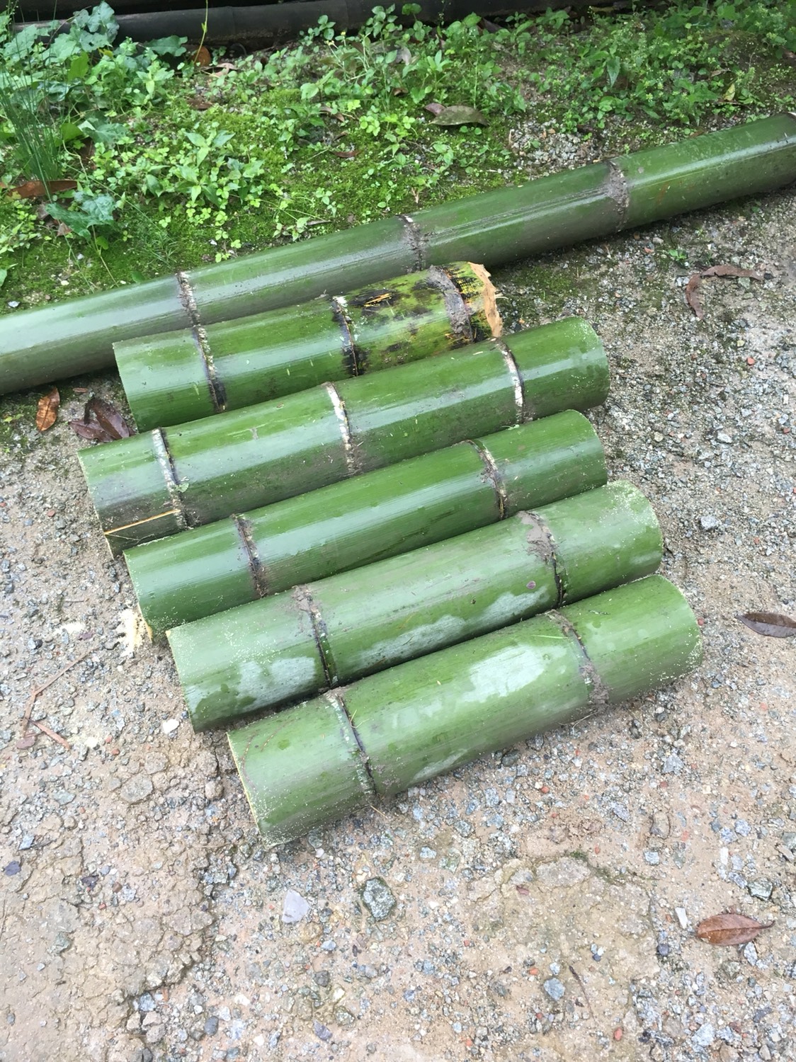 [竹筒批发]竹筒价格4元/个 - 惠农网