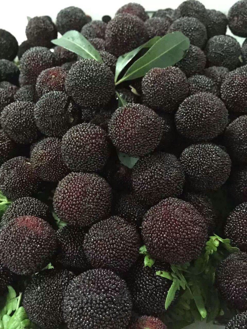 荸荠杨梅