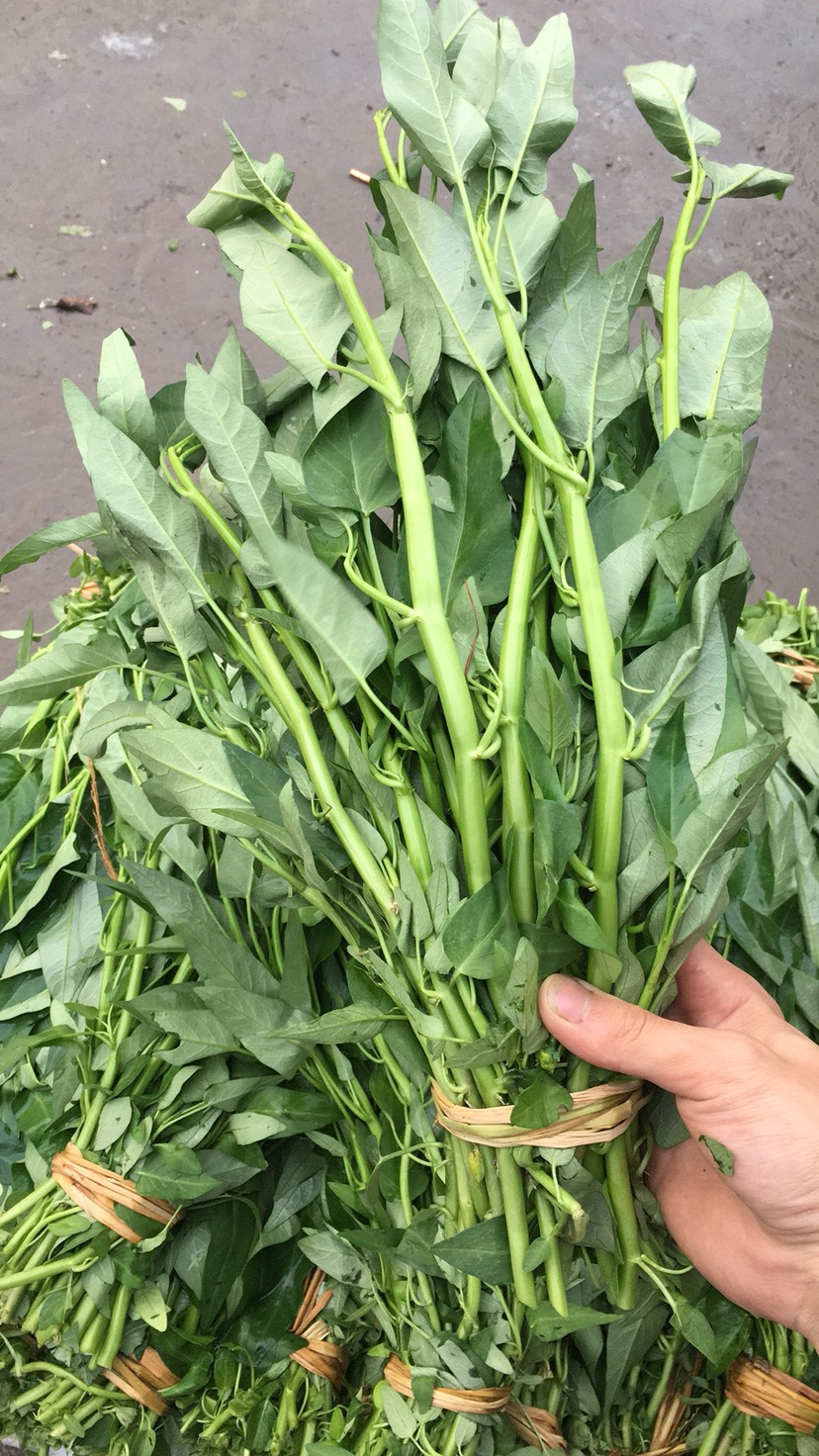 农家肥种植,酸空心菜,酸刀角.喜欢吃酸菜的朋友联系我那个是没