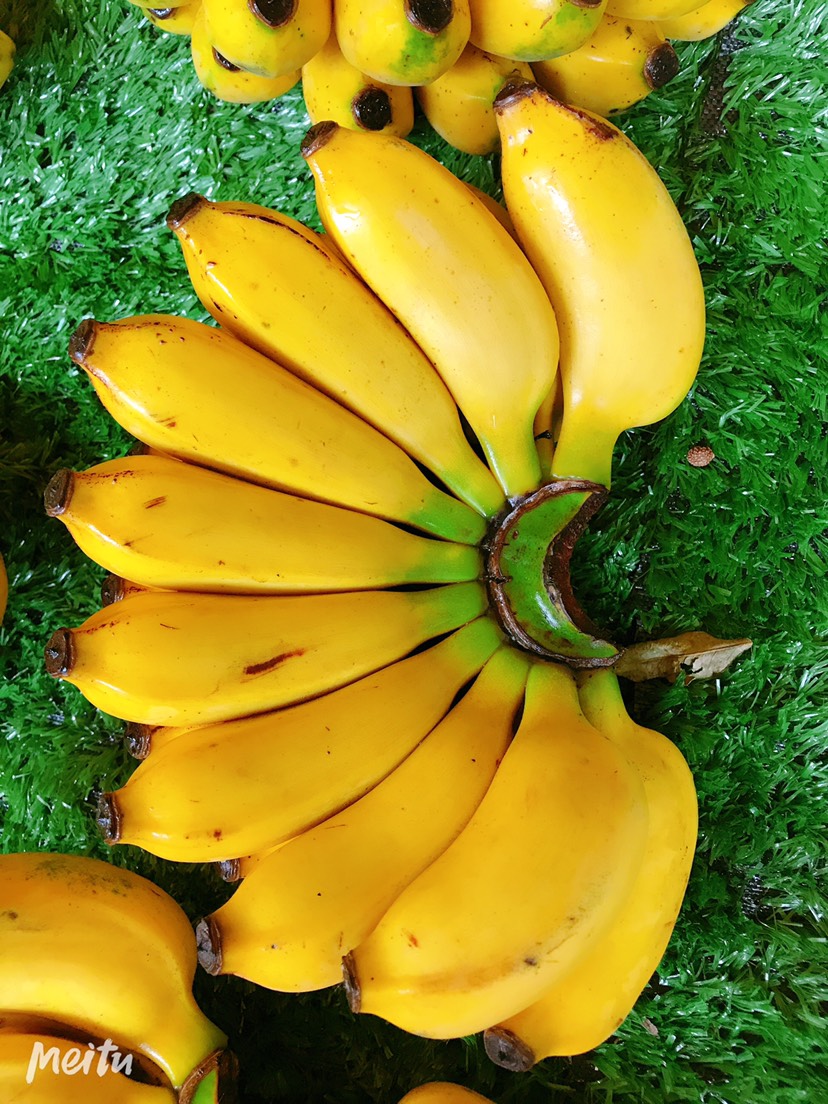 3、小米可乐价格图片：小米香蕉和普通香蕉有什么区别