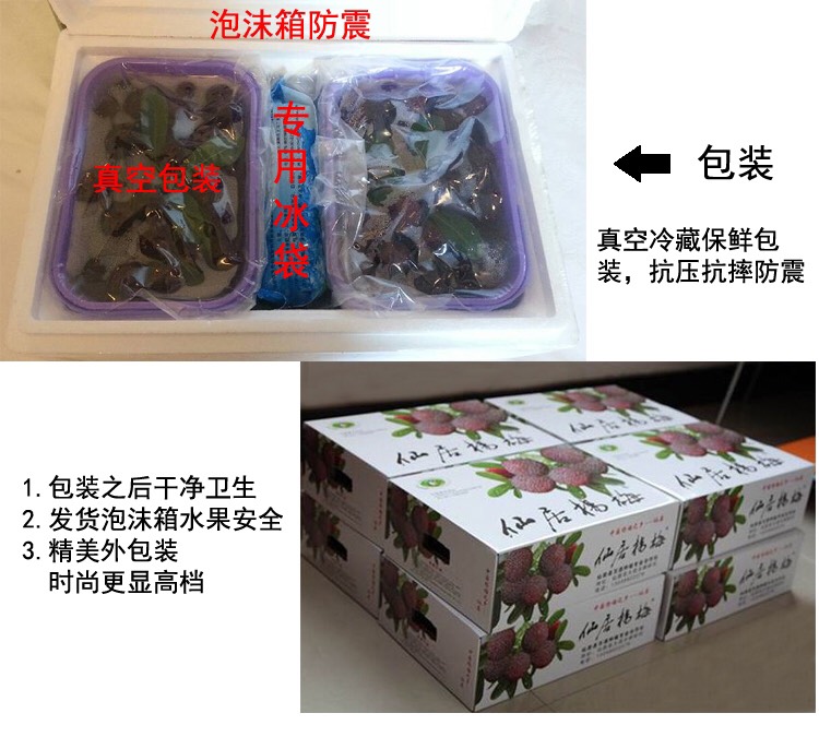 正宗仙居东魁杨梅 自家果园现摘现发