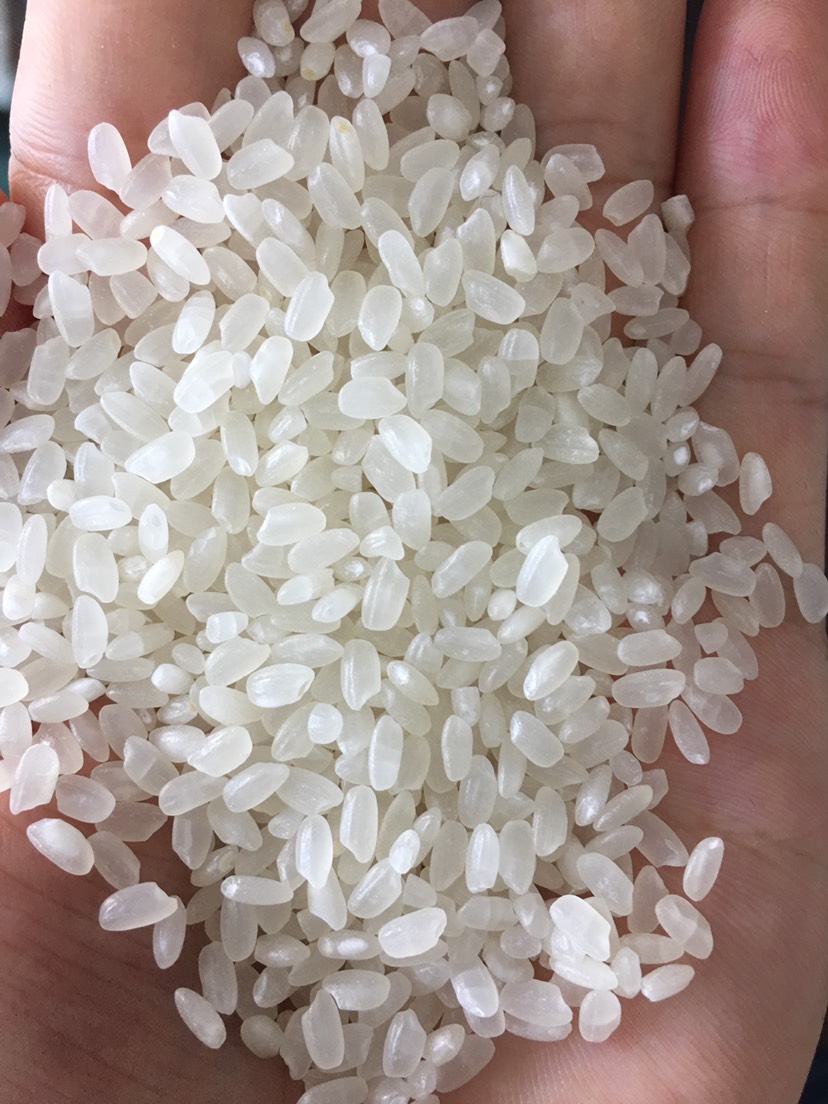 珍珠米 粳米