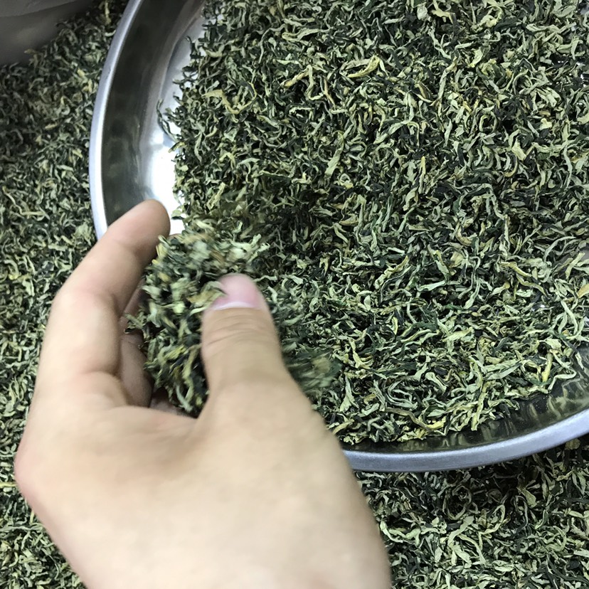 荷叶茶条形茶叶炒制荷钱茶特产茶叶