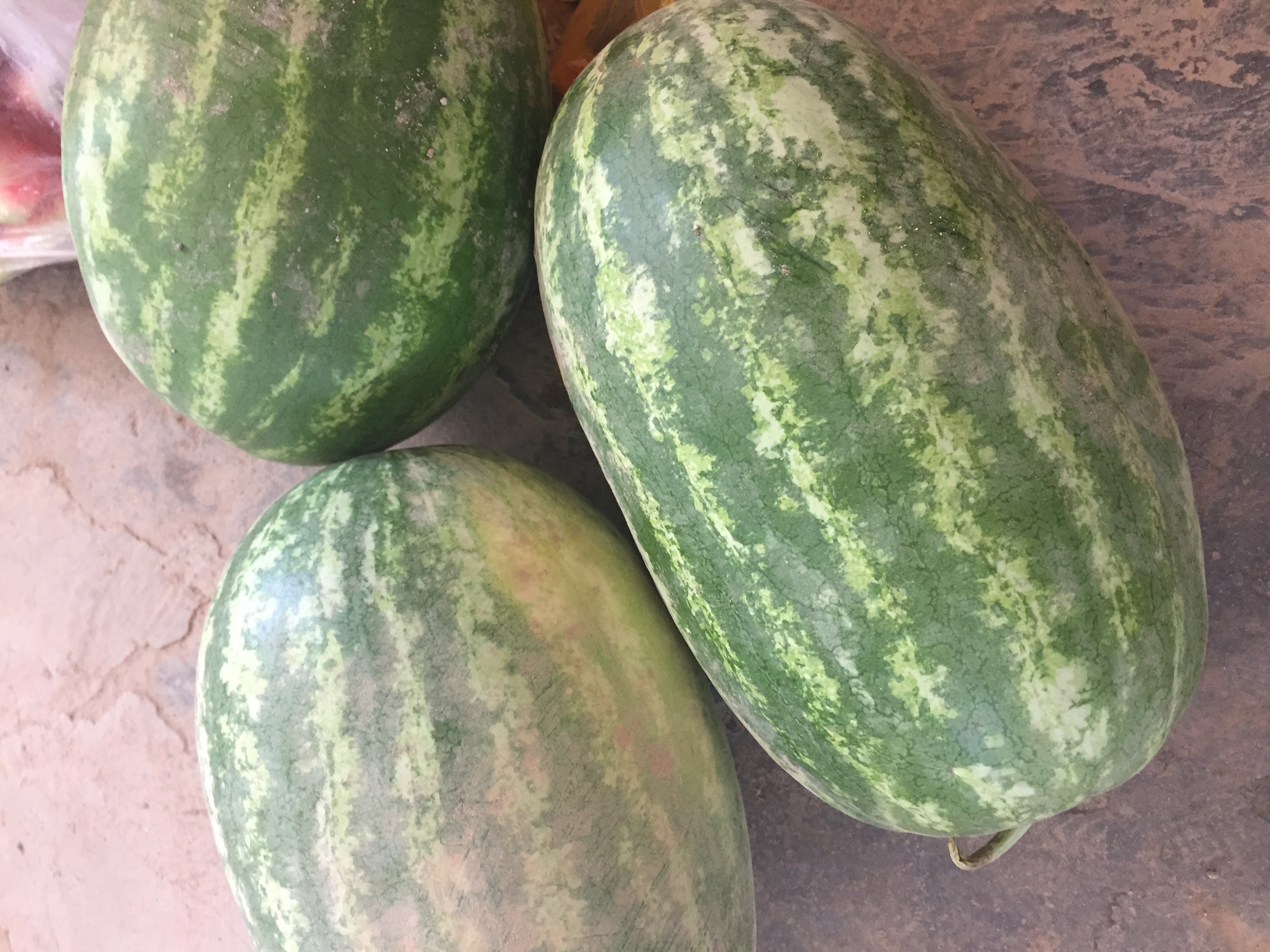 河北威县种植户郑杂5西瓜